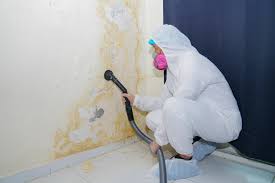 Professional Mold Removal & Remediation in Terre Du Lac, MO